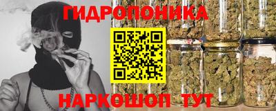СК Гатчина