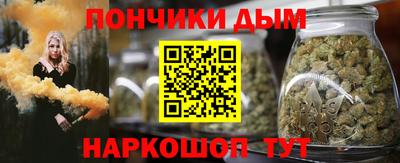 СК Гатчина