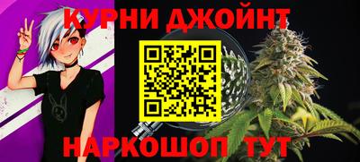 СК Гатчина