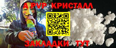 СК Гатчина
