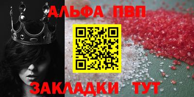 СК Гатчина