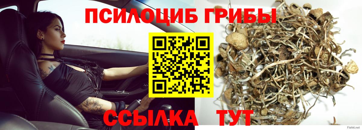 Галлюциногенные грибы Psilocybe  Псилоцибиновые грибы GOLDEN TEACHER  хочу наркоту  Вход с VPN  Кимовск 