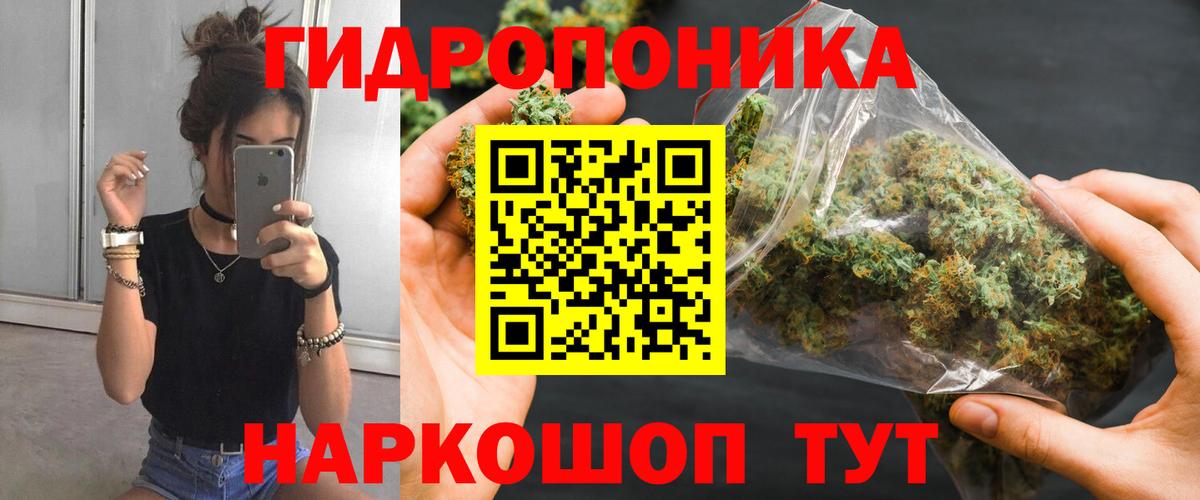 Каннабис Bruce Banner  Канабис Ganja  Кимовск  Бошки марихуана план  Вход с VPN 